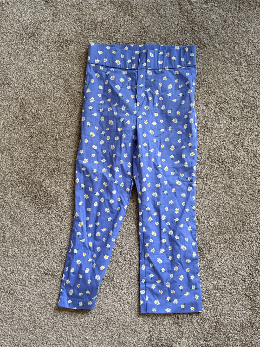 ⭐️FREE SHIPPING⭐️ Zara Daisy Print Capris